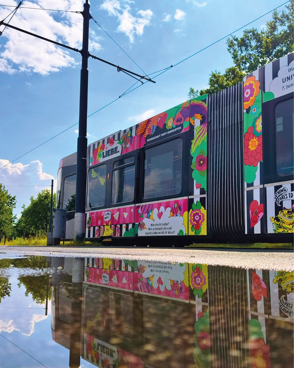 Die LOVETRAIN-Straßenbahn mit Blumen, Fischen und dem Schriftzug „LIEBE.“ spiegelt sich in einer Pfütze, fotografiert aus Bodenhöhe unter blauem Himmel